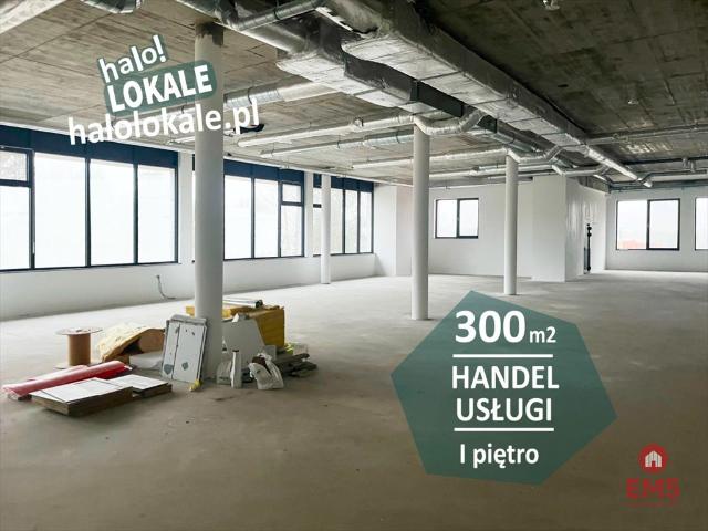 Atrakcyjny lokal 300 m2 w Starosielcach, gotowy do aranżacji