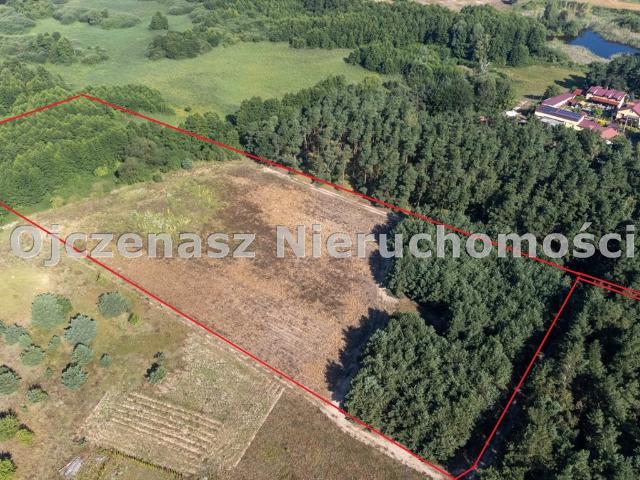 Atrakcyjna działka 11 800 m² w Przewózie – cisza i natura