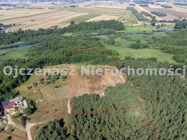 Atrakcyjna działka 5500 m² w Przewózie – cisza i natura