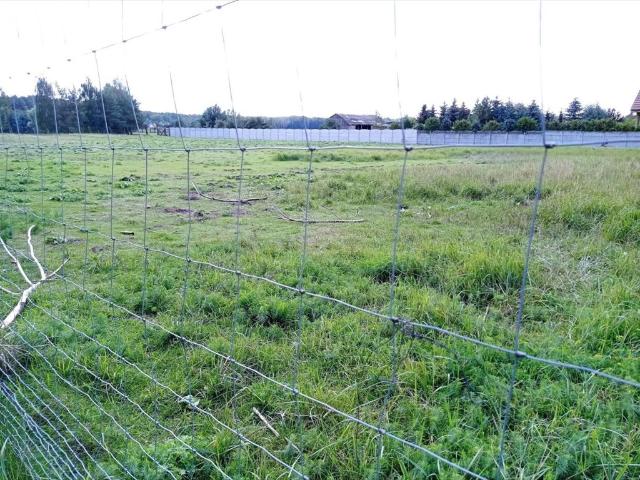 Atrakcyjna działka budowlana 813 m² z prądem w Mosinie
