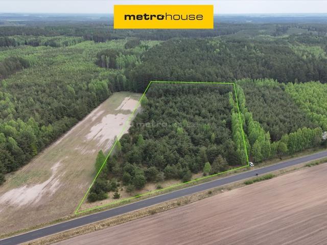 Działka leśna 7,47 ha z starodrzewem i dojazdem polecam