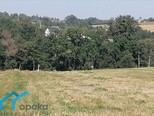 Atrakcyjna działka rolna 2 ha z dostępem do drogi