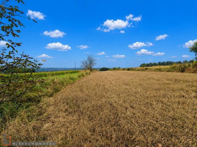Atrakcyjna działka rolna 5794 m² z mediami, blisko Krakowa