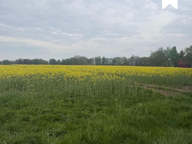 Atrakcyjne działki budowlane 10 30 arów pod Kołobrzeg