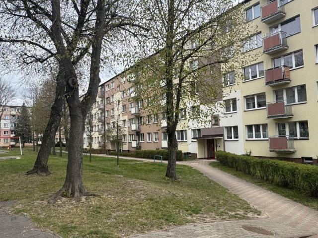 3 pokojowe mieszkanie na Piastowskiej, blisko szkół i zieleni