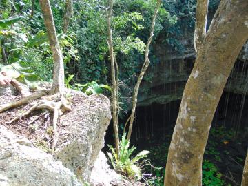 ¡ATTENTION INVESTOR FOR SALE LAND OF OPPORTUNITY 37 HECTARES!