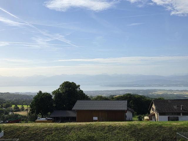 Attic flat with 3.5 rooms for rent in Arzier 95 m² | dreamo. Ch