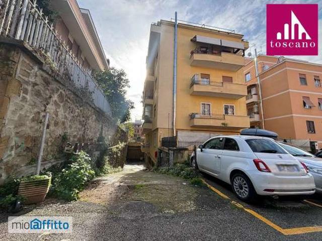 Attico arredato con terrazzo Boccea, torrevecchia, pineta sacchetti, selva candida, ottavia
