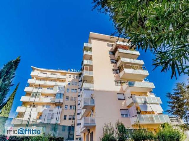 Attico arredato con terrazzo Flaminio, fleming, vigna clara, camilluccia