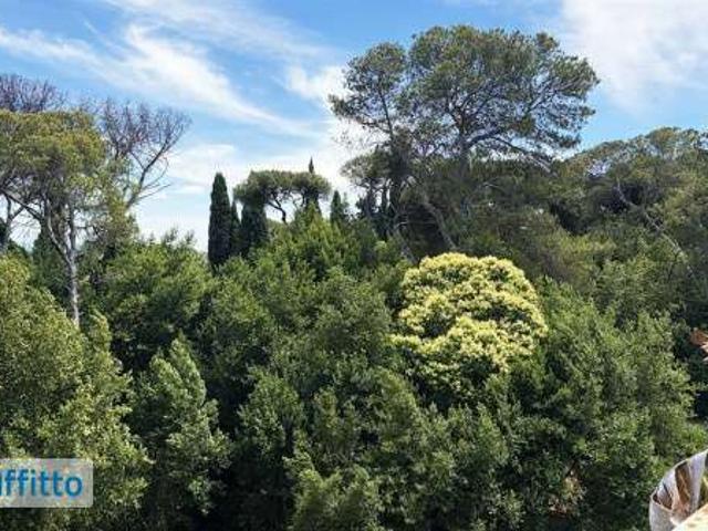 Attico arredato con terrazzo Parioli, pinciano