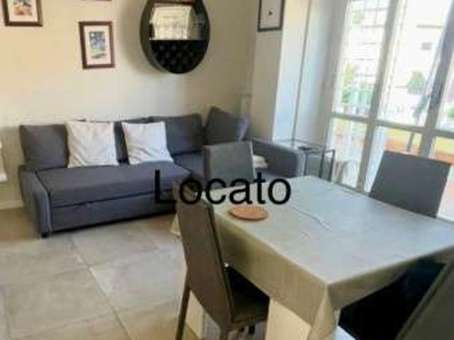 Attico arredato con terrazzo Trieste, salario