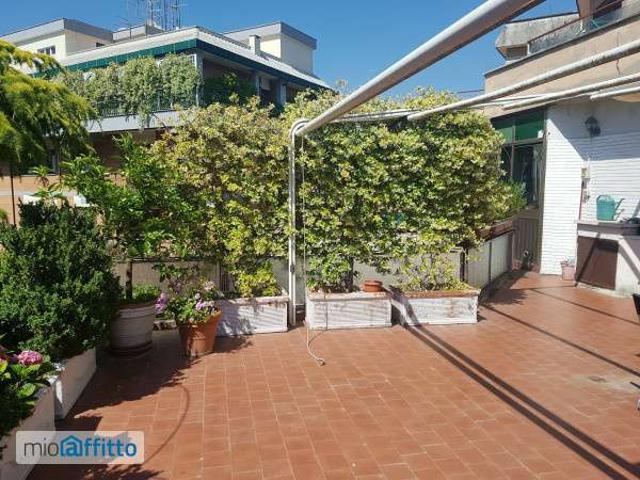 Attico arredato con terrazzo Trieste, salario