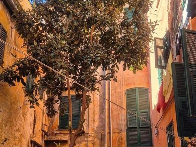 Attico di prestigio in vendita Salita San Bartolomeo del Carmine, 4, Genova, Liguria