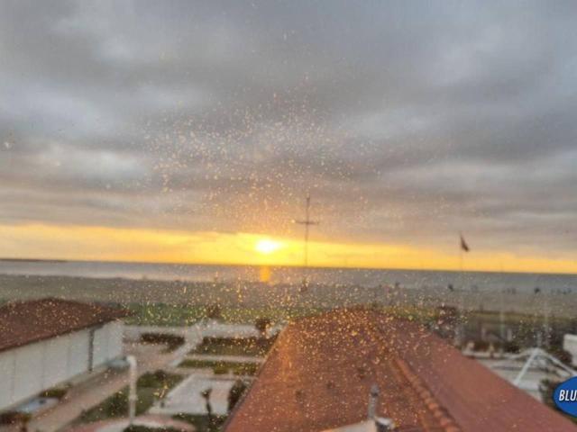 Attico in affitto a Viareggio