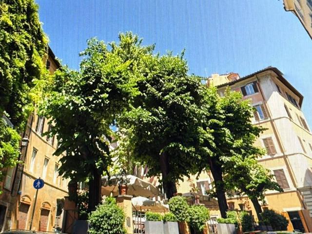 Attico / Mansarda in affitto a Roma RM