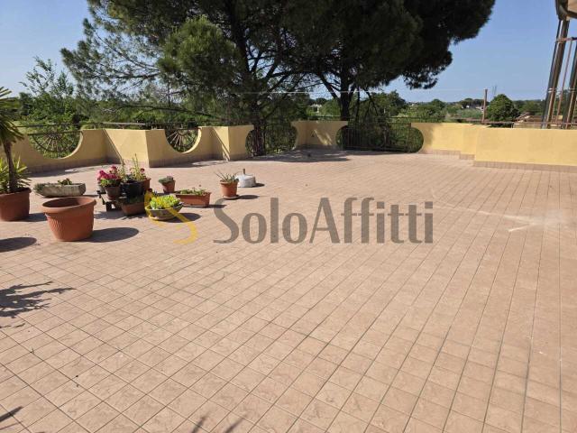 Attico / Mansarda in affitto a Savignano sul Rubicone, case in affitto Savignano sul Rubicone