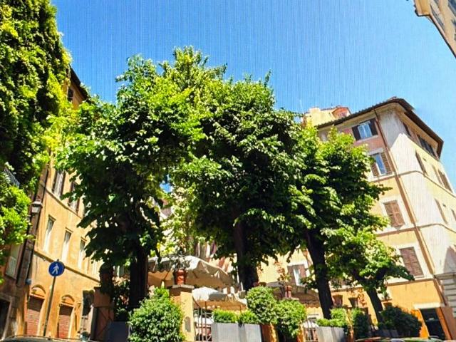Attico / Mansarda in vendita a Roma RM