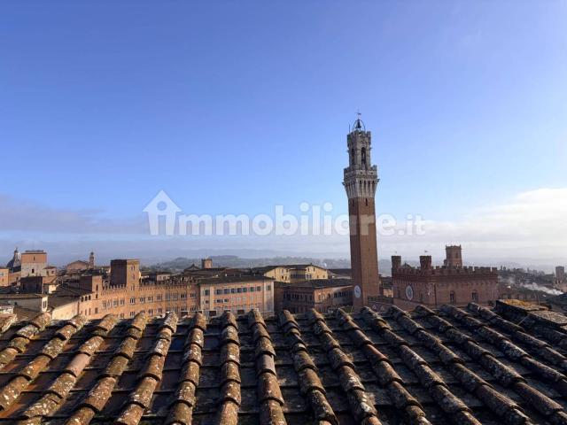 Attico via del Poggio 9, Duomo, Siena