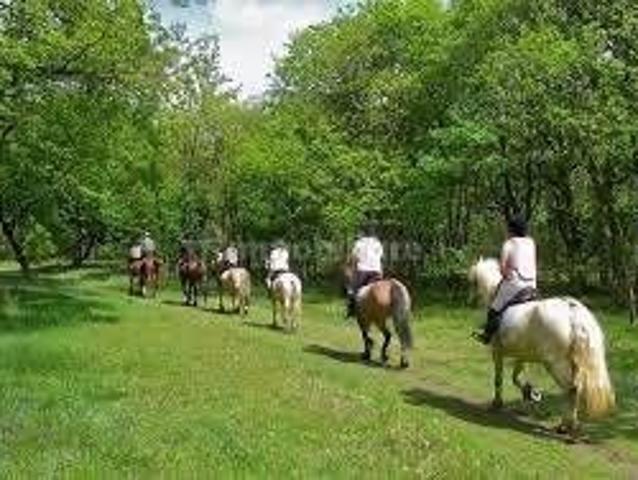 Attico via Forgitelle, Camigliatello Silano, Spezzano della Sila