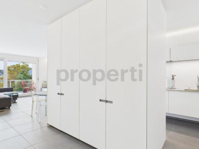 Attikawohnung 4.5 Zimmer