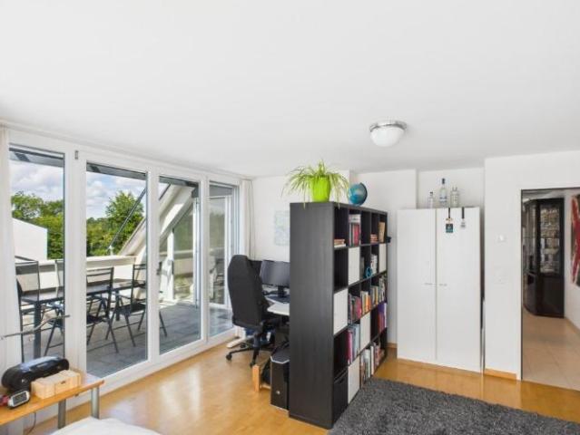 Attikawohnung 5.5 Zimmer