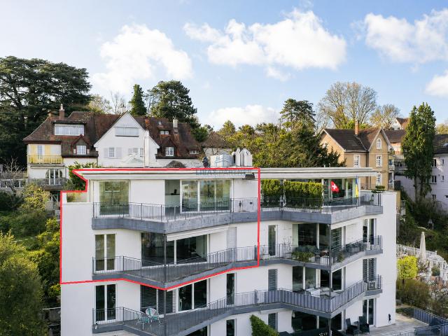 Attika Maisonette mit unverbaubarem Weitblick über Binningen & Basel