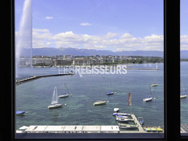 Attique d'exception sur le Quai Gustave Ador | dreamo. Ch