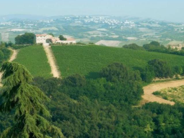 Attivit / Licenza di 4515 m con più di 5 locali in vendita a Acquaviva Picena