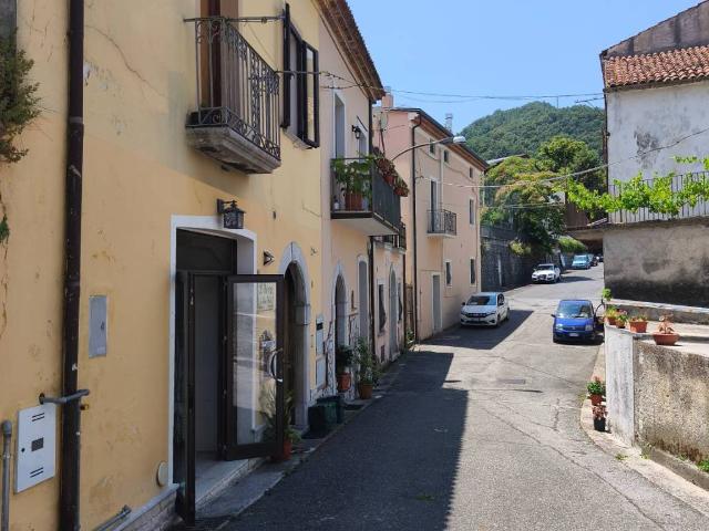 Attività / Licenza in affitto a Trecchina PZ