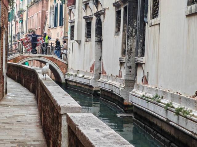 Attività / Licenza in affitto a Venezia VE