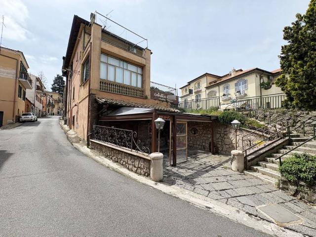 Attività / Licenza in affitto a Ariccia RM