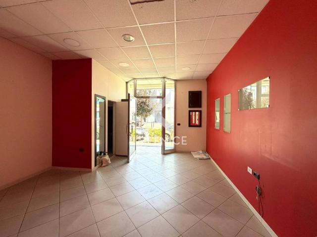 Attività / Licenza in affitto a Martina Franca TA