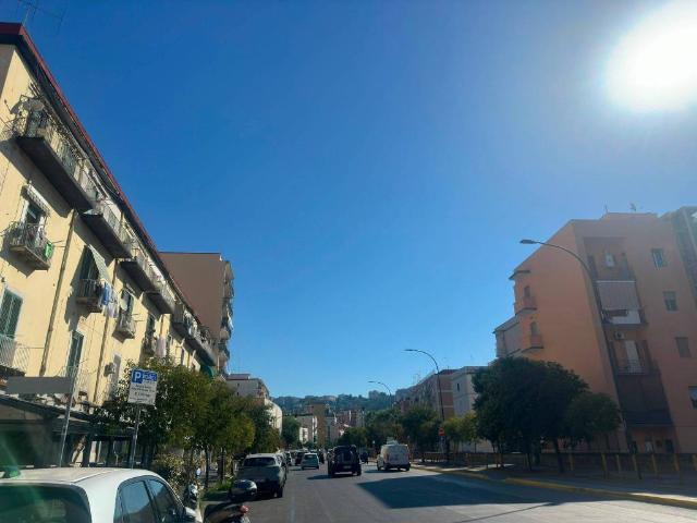 Attività / Licenza in affitto a Napoli NA