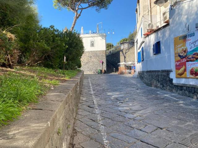 Attività / Licenza in affitto a Portici NA