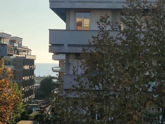 Attività / Licenza in affitto a Roma RM