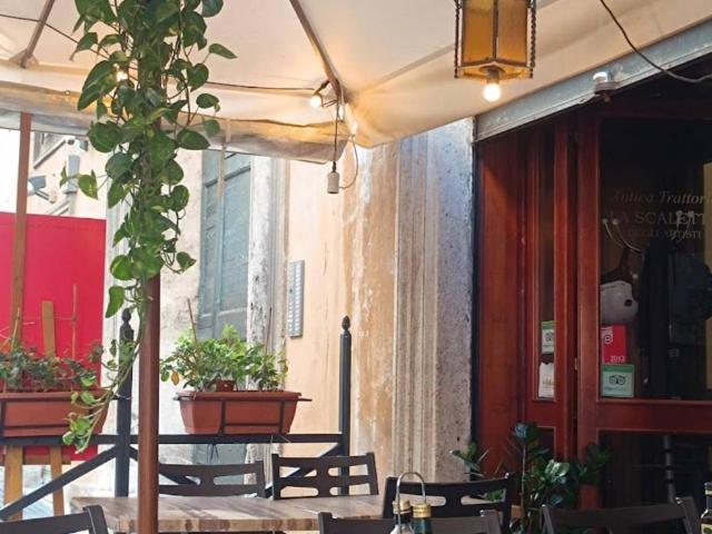 Attività / Licenza in affitto a Roma RM