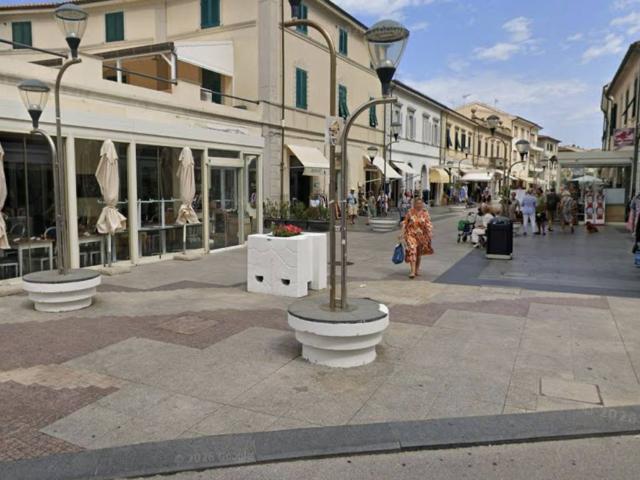 Attività / Licenza in affitto a San Vincenzo LI