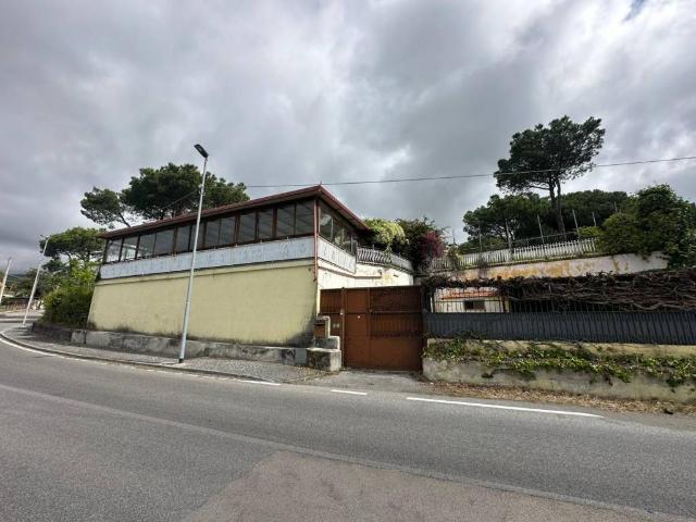 Attività / Licenza in vendita a Trecase NA