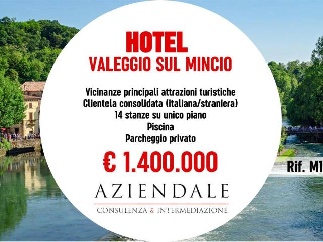 Attività / Licenza in vendita a Valeggio sul Mincio VR