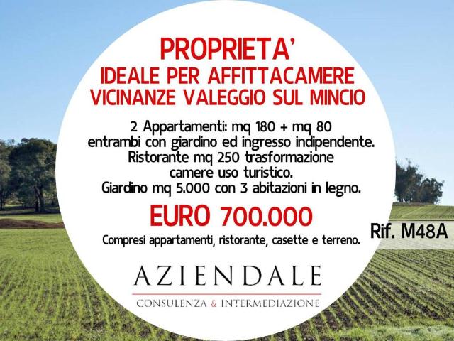 Attività / Licenza in vendita a Valeggio sul Mincio VR