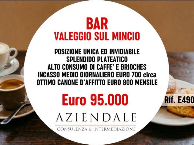 Attività / Licenza in vendita a Valeggio sul Mincio VR