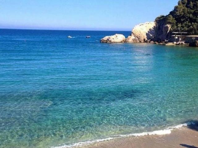 Attività / Licenza in vendita a Varazze SV