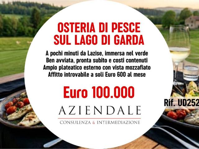 Attività / Licenza in vendita a Verona VR