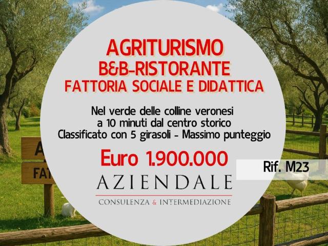 Attività / Licenza in vendita a Verona VR