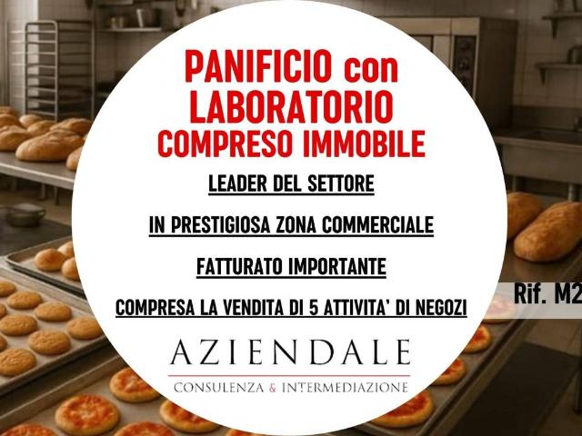 Attività / Licenza in vendita a Verona VR