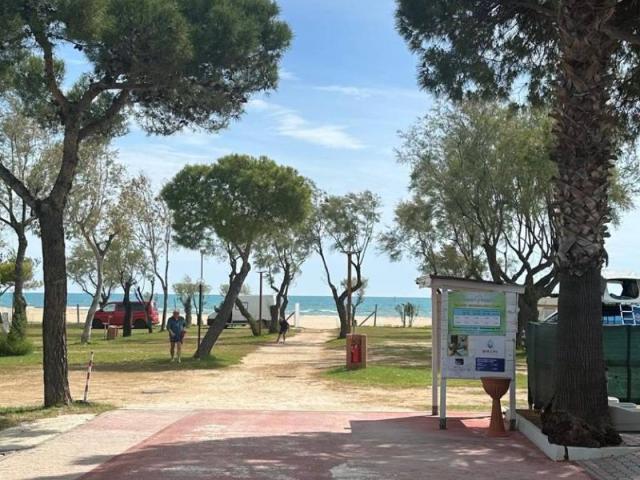 Attività / Licenza in vendita a Vieste FG