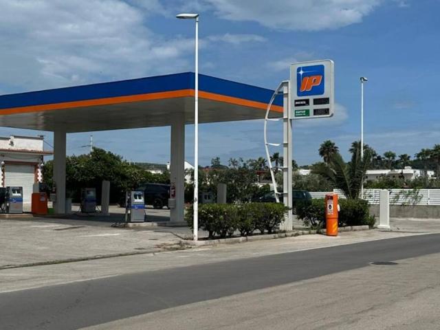 Attività / Licenza in vendita a Vieste FG