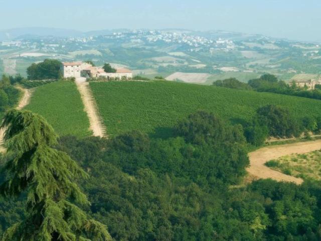 Attività / Licenza in vendita a Acquaviva Picena AP