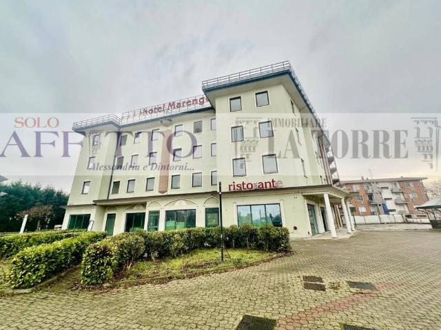 Attività / Licenza in vendita a Alessandria AL