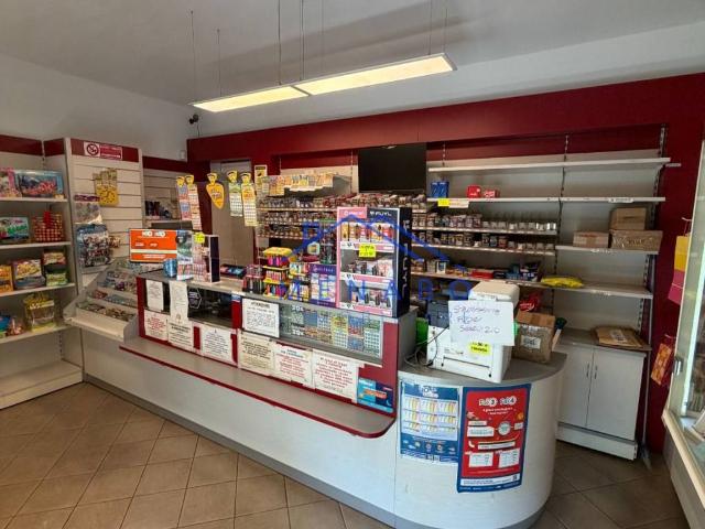 Attività / Licenza in vendita a Alessandria AL